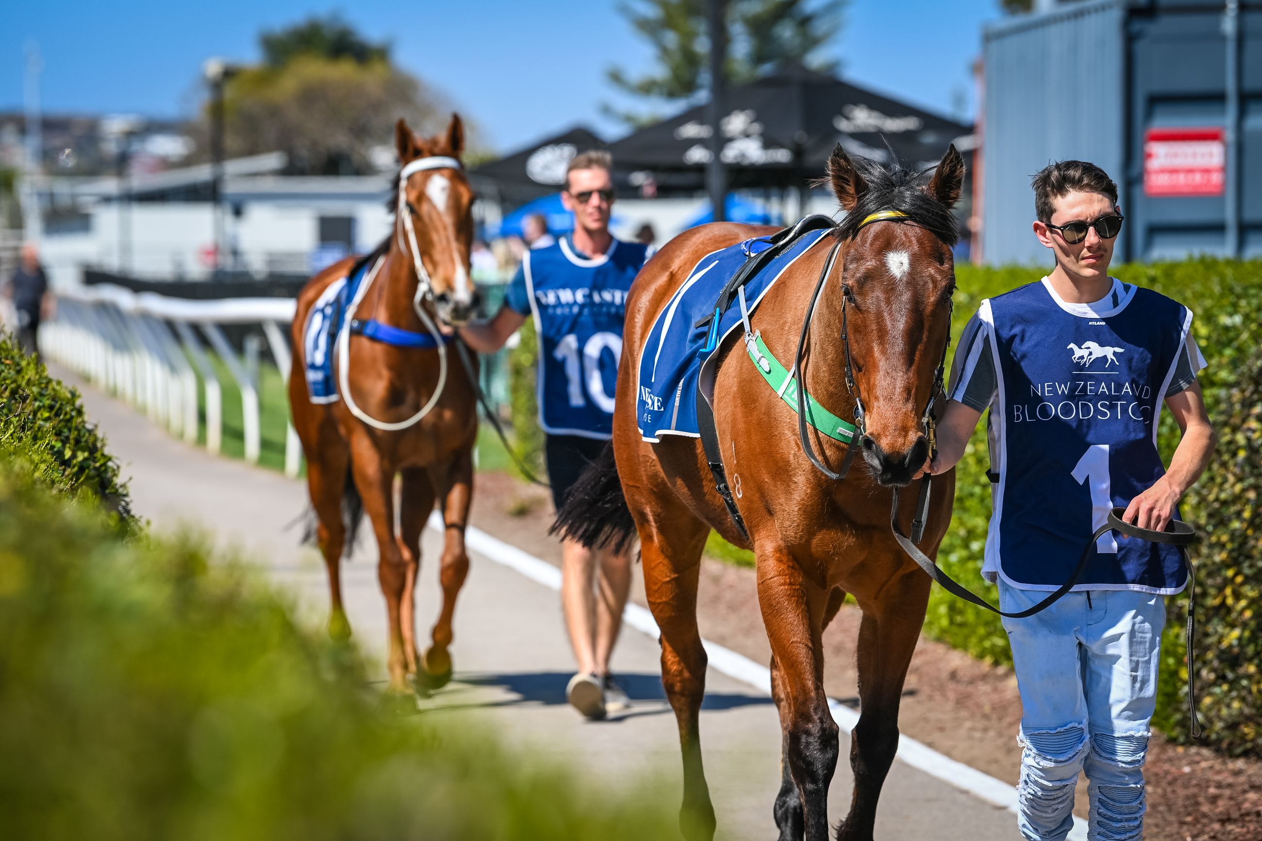 Gary Harley Preview Newcastle Racecourse