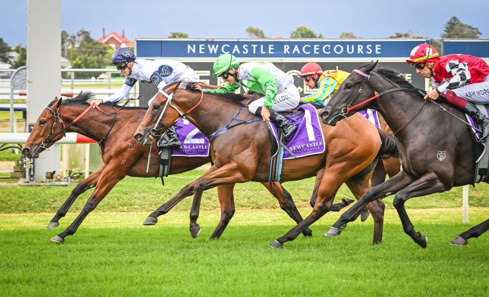 Upcoming Events - Newcastle Racecourse