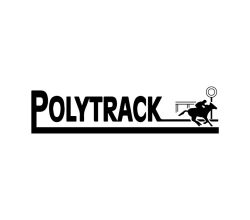 Polytrack